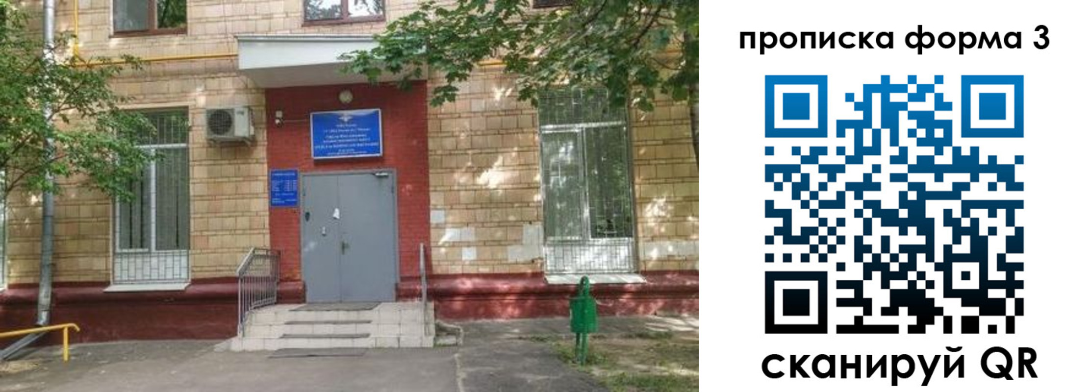 регистрация в Елизово